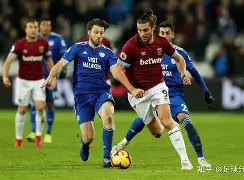 荷甲积分榜20242025最新公布最新